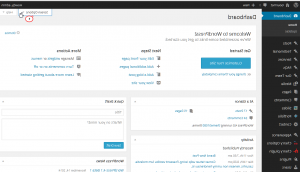 WordPress-How_to_work_with_dashboard_屏幕_options-1