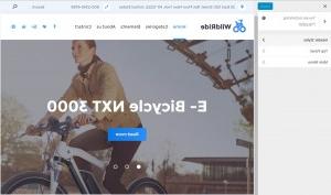 WordPress_Blogging_themes._Customize_options_overview_12